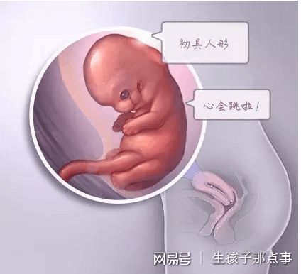 伊藤医師